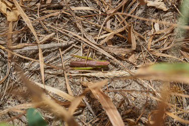 Similar image 21718264