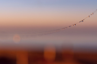 Similar image 21720386