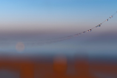 Similar image 21720387