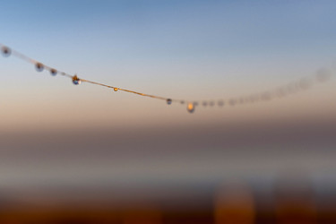 Similar image 21720388