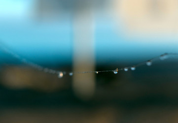 Similar image 21720474