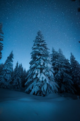 Similar image 21719232