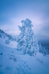 Similar image 21719431