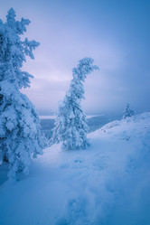 Similar image 21719433