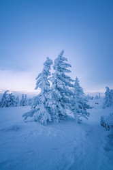 Similar image 21719435