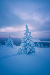 Similar image 21719436