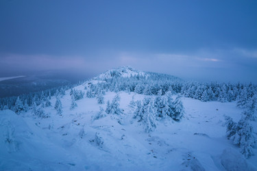 Similar image 21719437