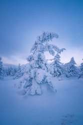 Similar image 21719438