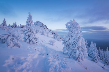 Similar image 21719439