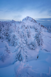 Similar image 21719440