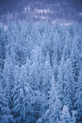 Similar image 21719441