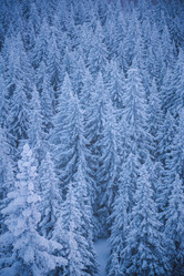 Similar image 21719442