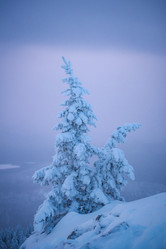 Similar image 21719444