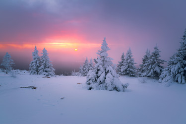 Similar image 21719447