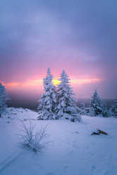 Similar image 21719448