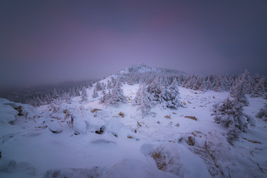 Similar image 21719449