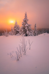 Similar image 21719250