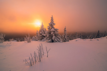 Similar image 21719251