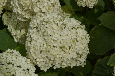 Similar image 21718367