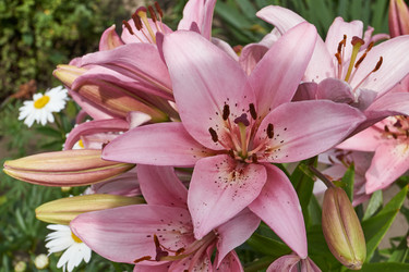 Similar image 21718368