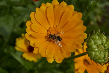 Similar image 21718370