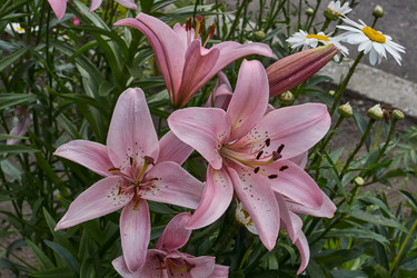 Similar image 21718371