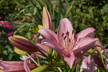 Similar image 21718374