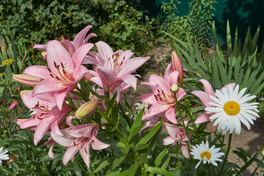 Similar image 21718375