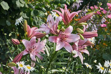 Similar image 21718376