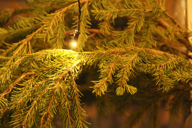 Similar image 21719256