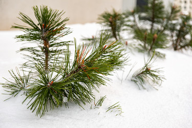 Similar image 21718379