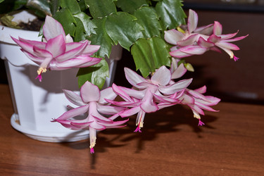 Similar image 21719259