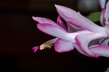 Similar image 21719262