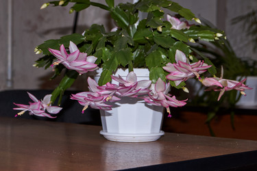 Similar image 21719263