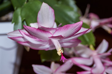 Similar image 21719265