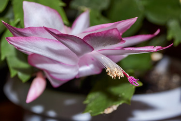 Similar image 21719270