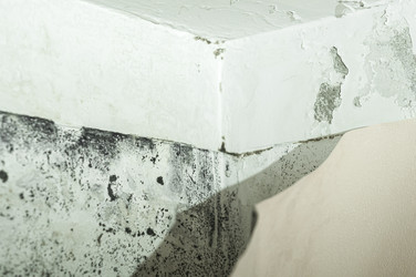 Similar image 21719274