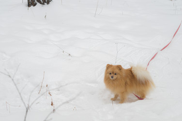 Similar image 21719275