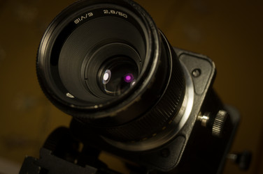 Similar image 21719276