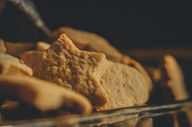 Similar image 21720391