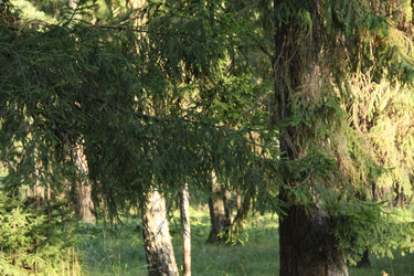 Similar image 21720169