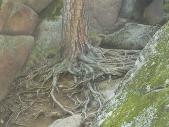 Similar image 21720173