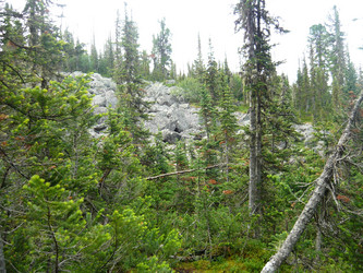 Similar image 21720175