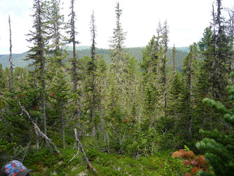 Similar image 21720176