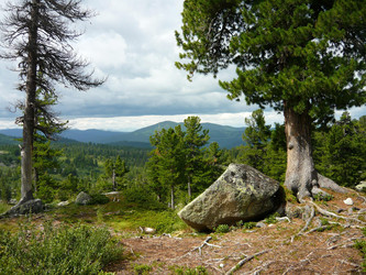 Similar image 21720180