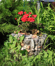 Similar image 21719301