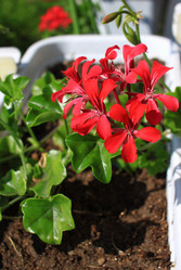 Similar image 21719303