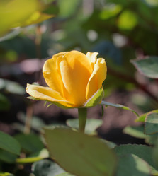 Similar image 21719304