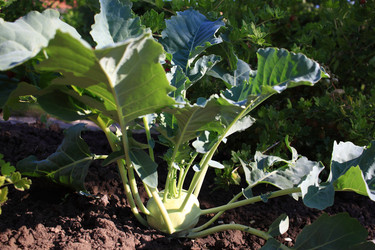 Similar image 21719306