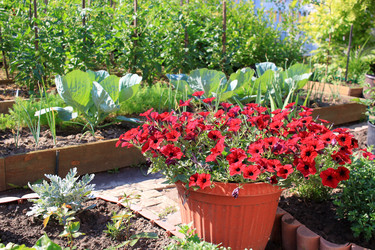 Similar image 21719307